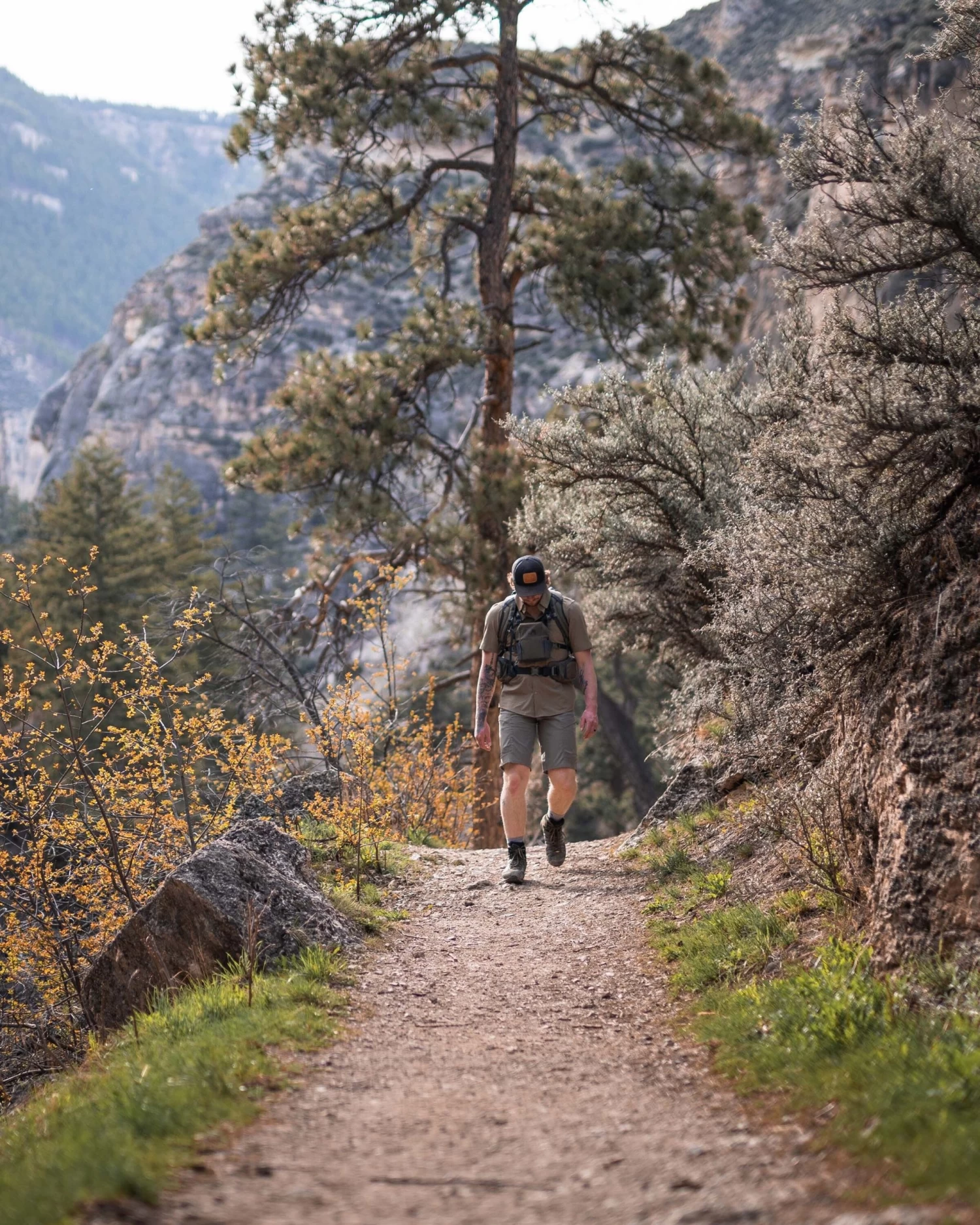 Kuiu Mesa Vented SS Snap Shirt | Olive - Image 9